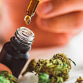 What is the Difference Between Epidiolex and CBD Oil?