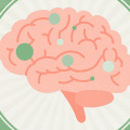 How does cbd work on the brain?