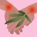 What mg cbd is good for chronic pain?