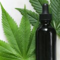 What You Need to Know About CBD Classification
