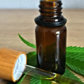Everything You Need to Know About CBD Products