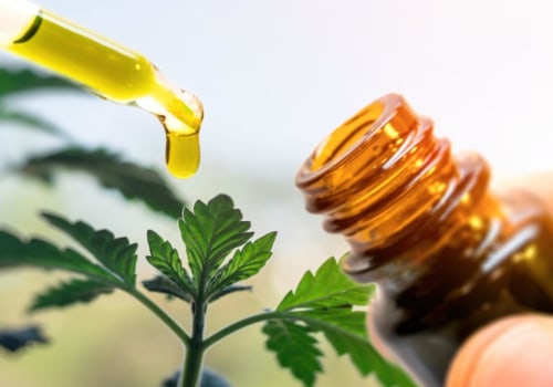 How to Choose the Right CBD for You: A Quiz