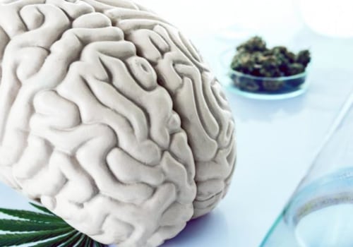 Can CBD Help Reduce Seizures?