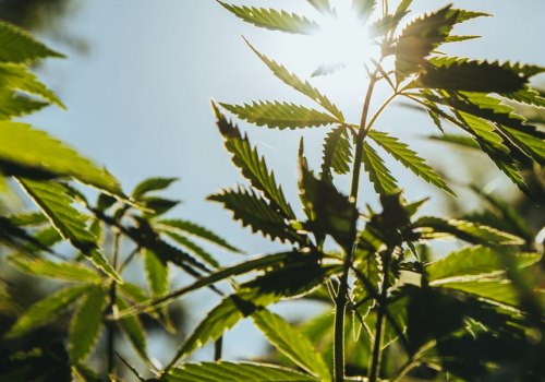 Can CBD Help with Addiction?