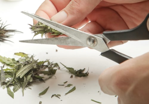 Is CBD an Approved Drug?