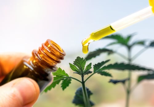 The Best 5 CBD Brands to Try