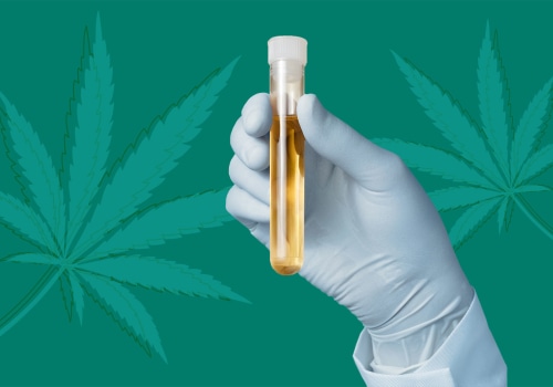 How long is cbd detectable in urine?